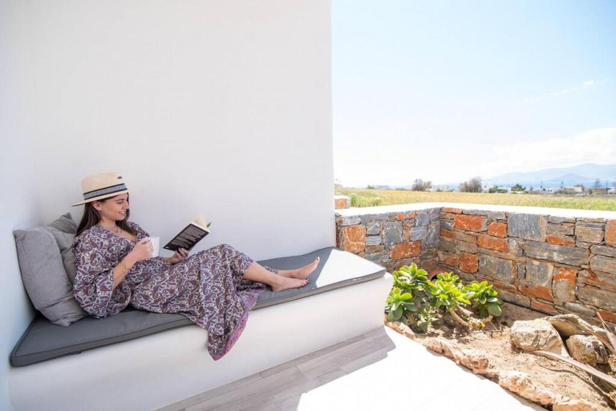 Apartmán Naxos Agia Anna Sunset View Olive House Exteriér fotografie
